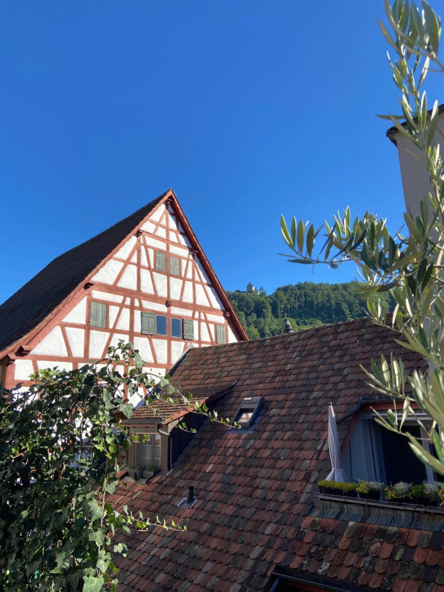 Understadt 14 Guesthouse Stein Am Rhein Esterno foto